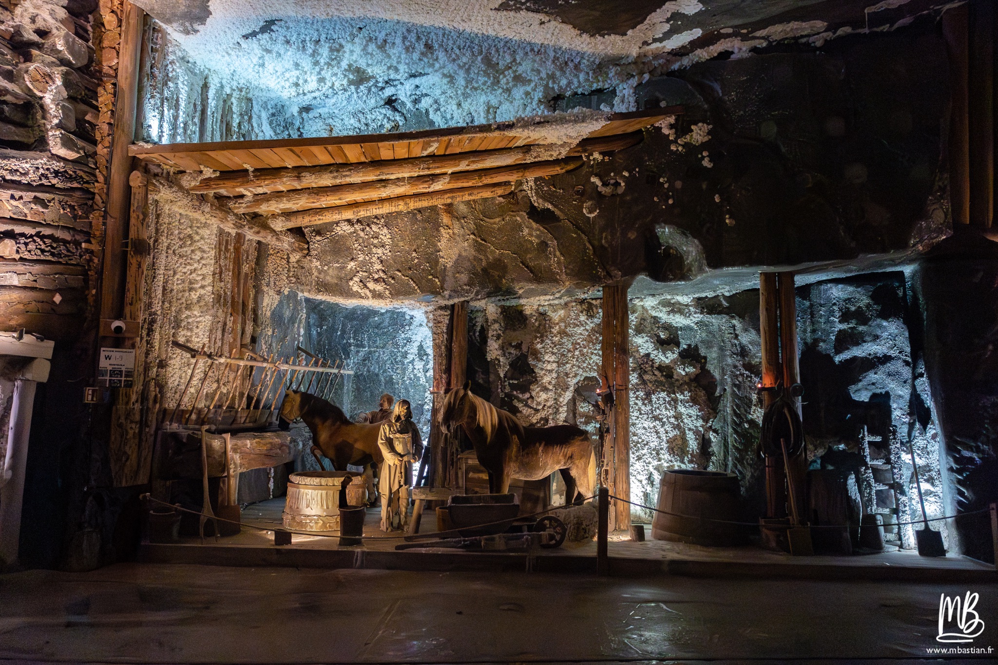 2026 04 04 CRACOVIE MB 50