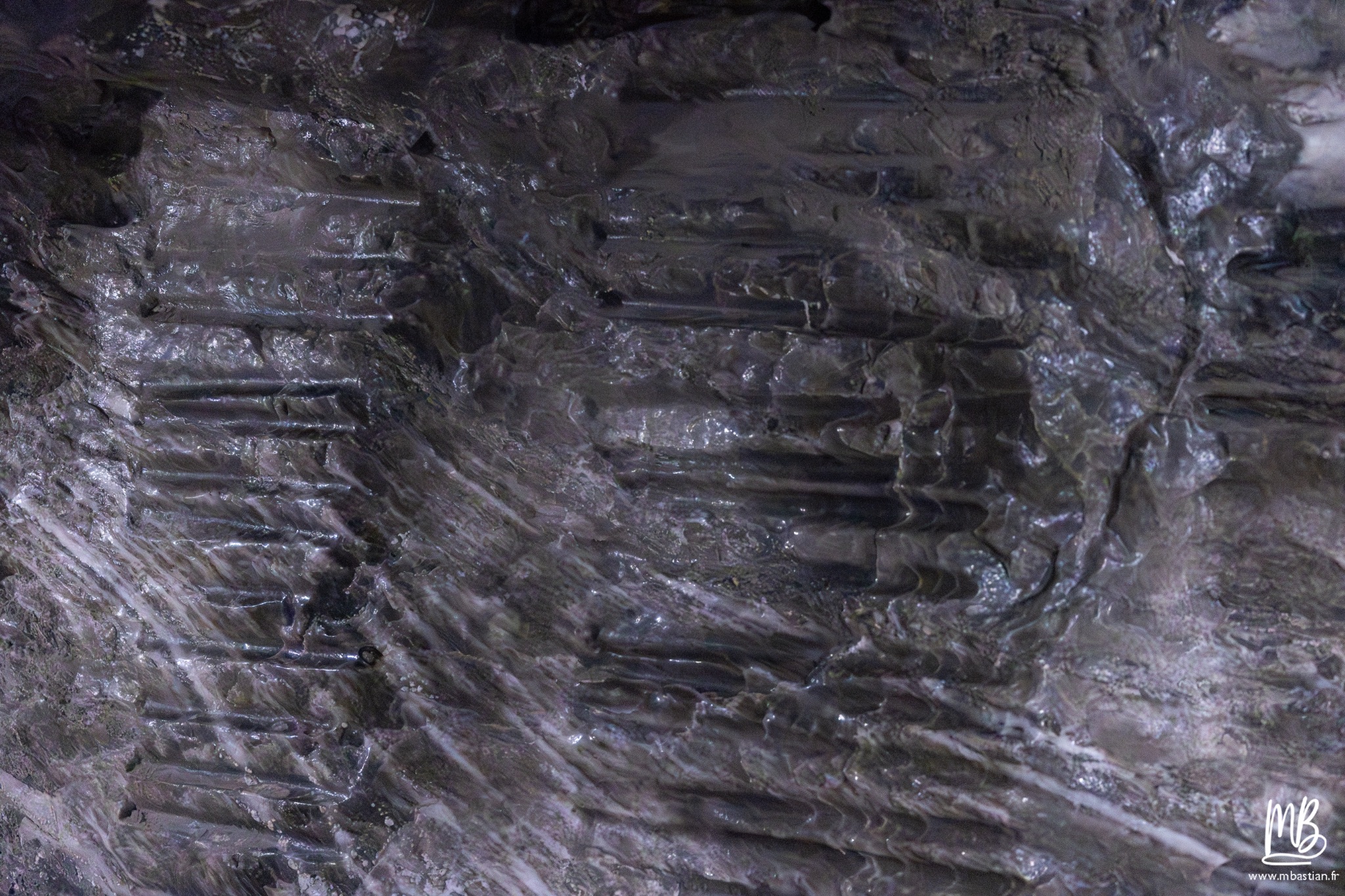 2026 04 04 CRACOVIE MB 51