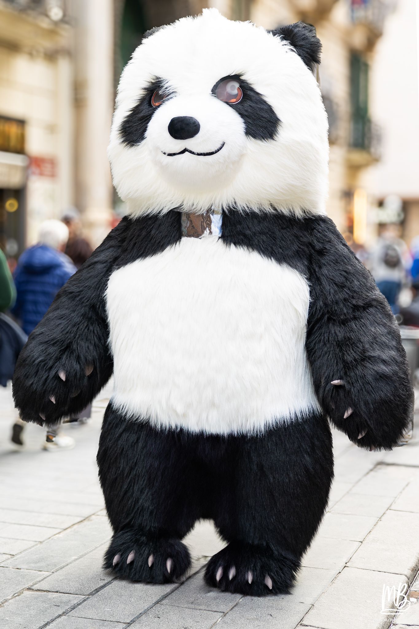 20250329 Naples MB 16