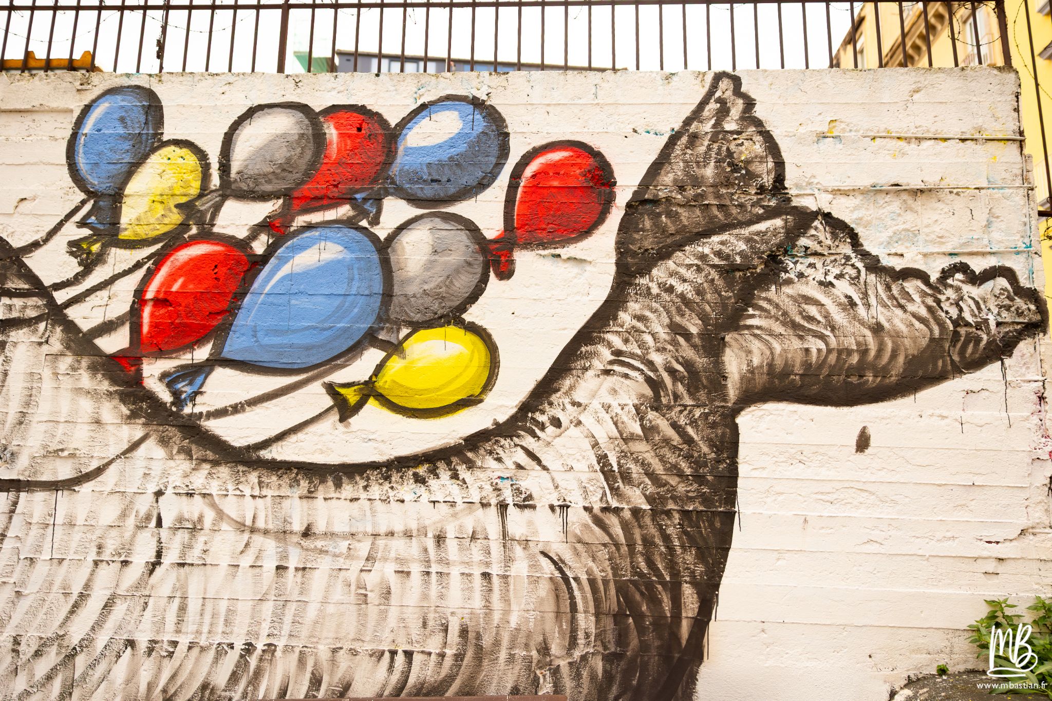 20250329 Naples MB 8