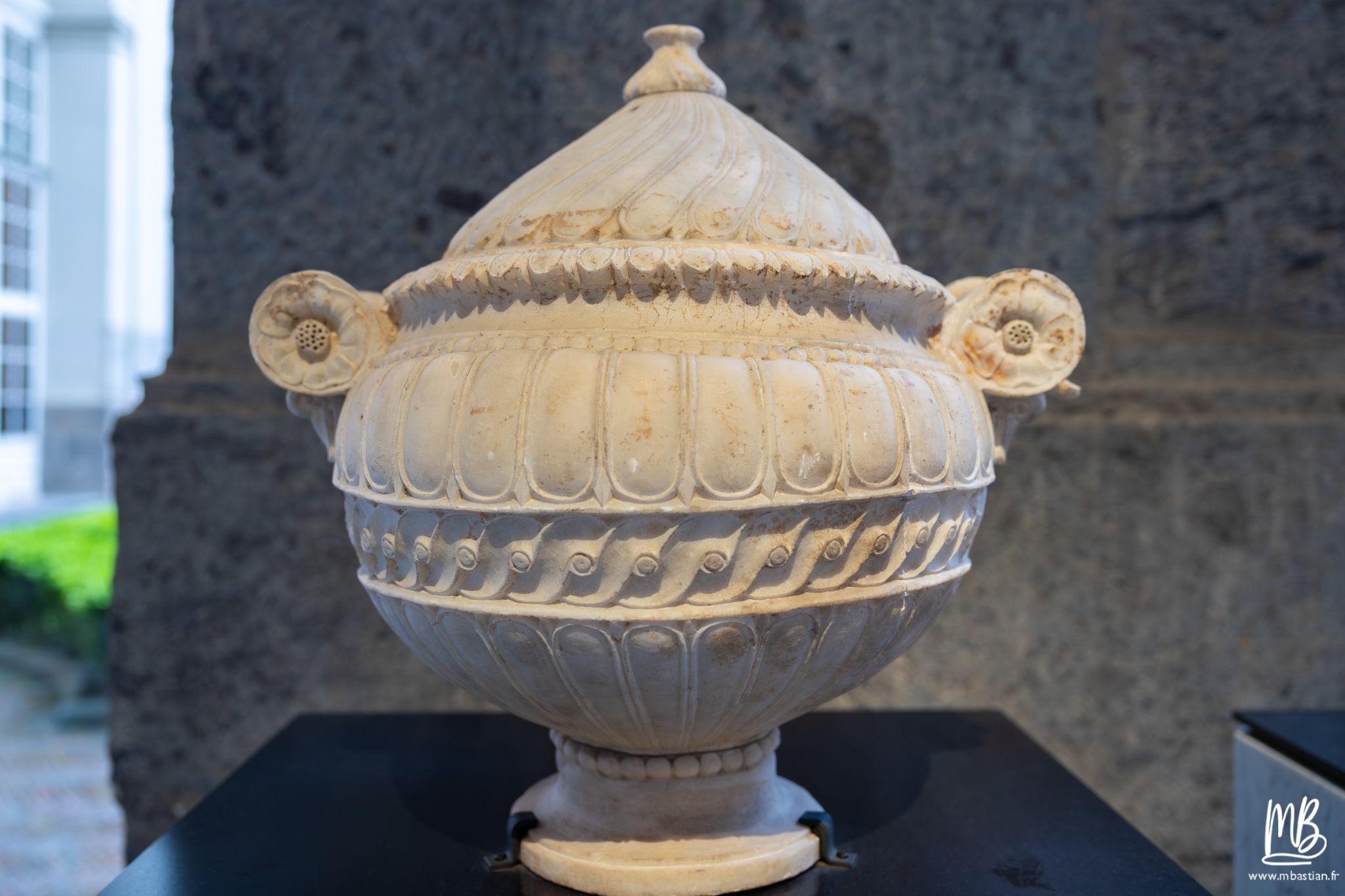 20250329 Naples MB 14