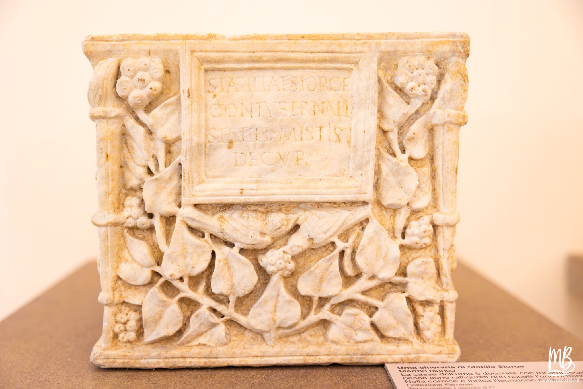 20250329 Naples MB 20