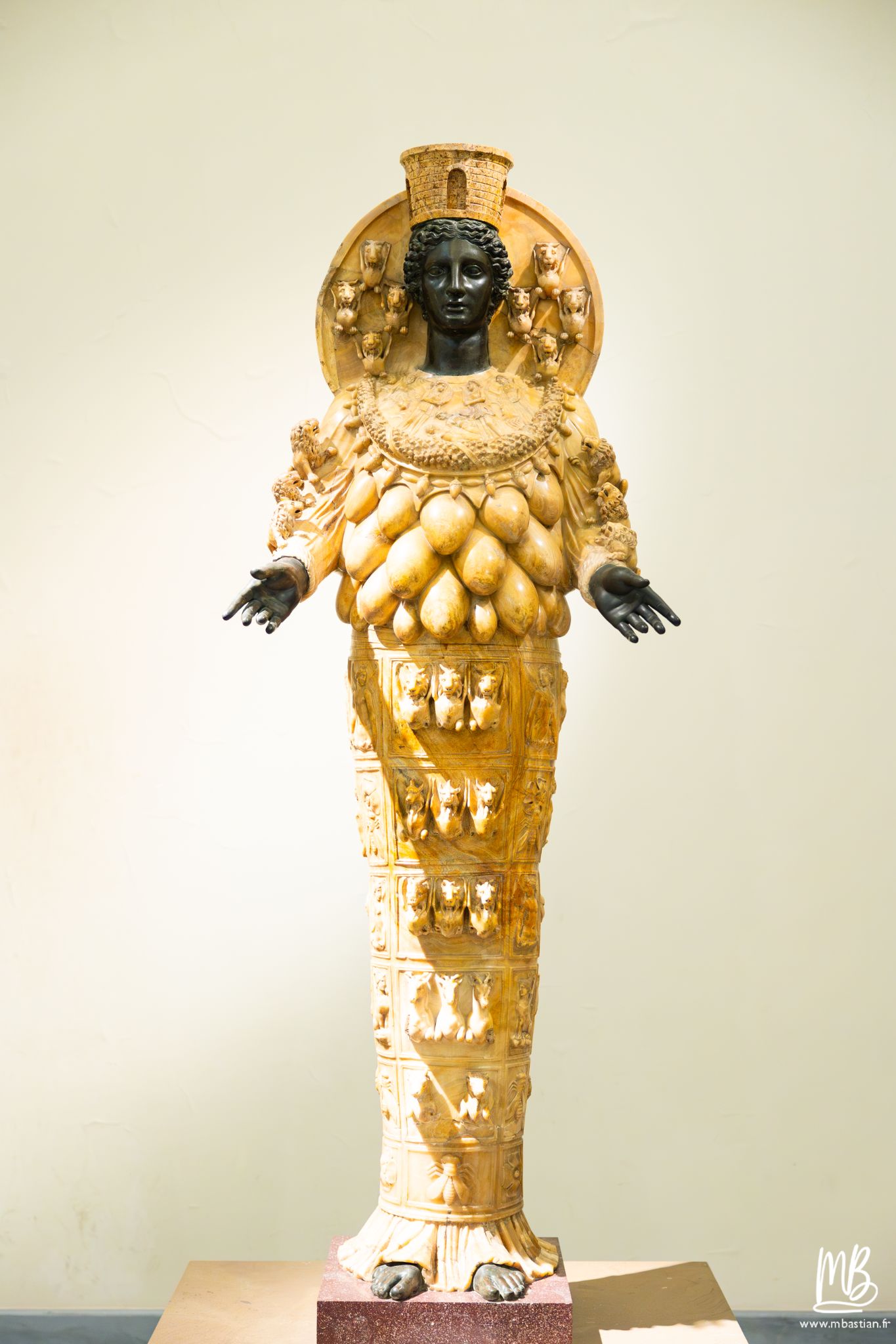 20250329 Naples MB 28