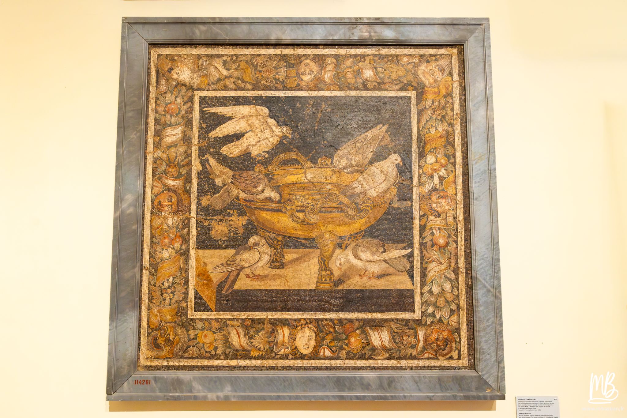 20250329 Naples MB 40