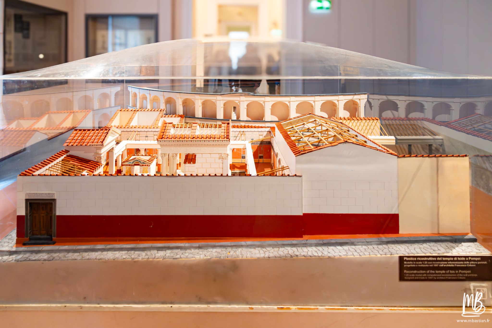 20250329 Naples MB 64