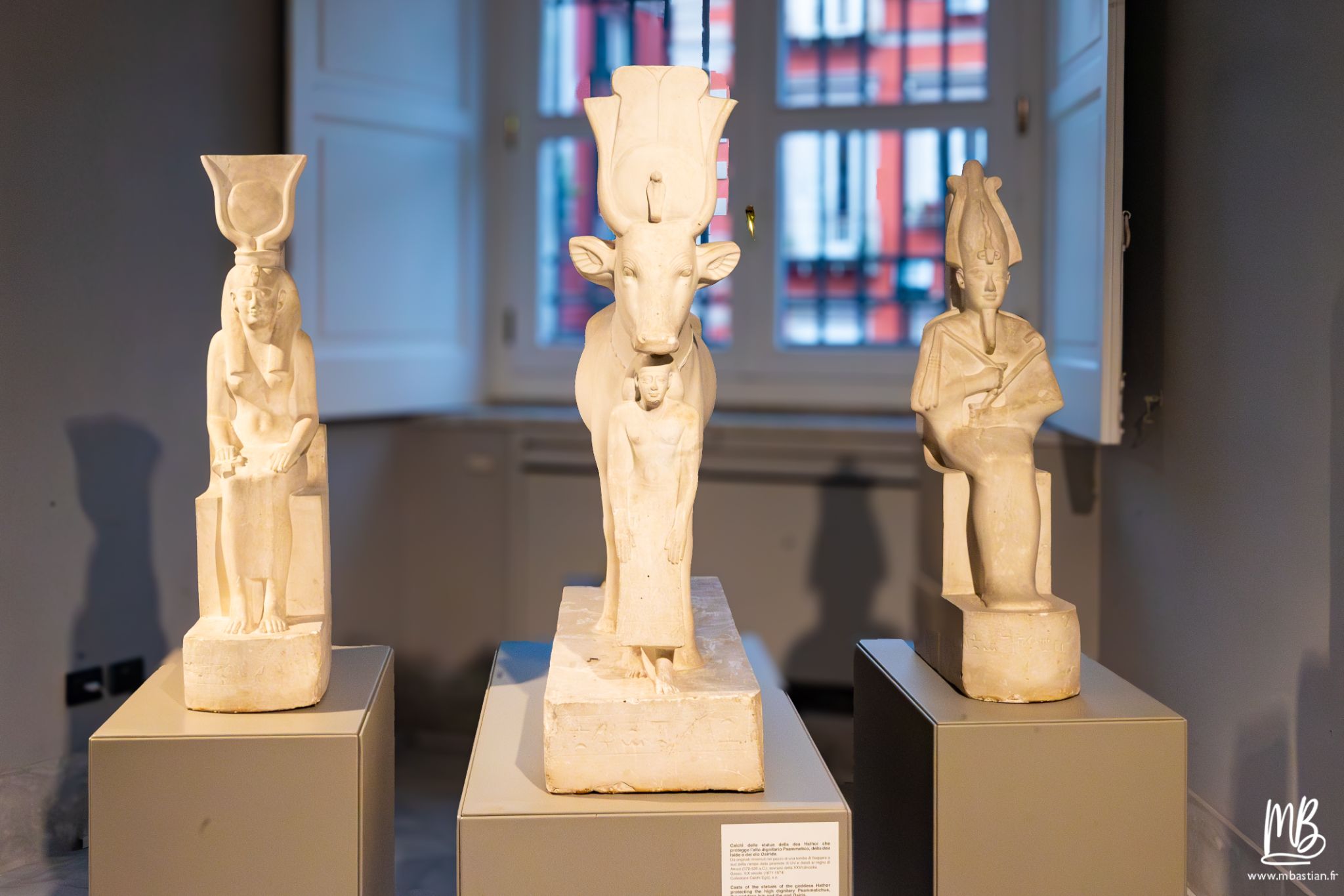 20250329 Naples MB 70