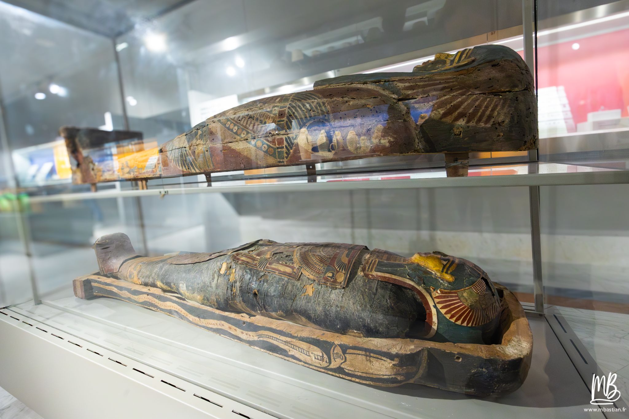 20250329 Naples MB 81