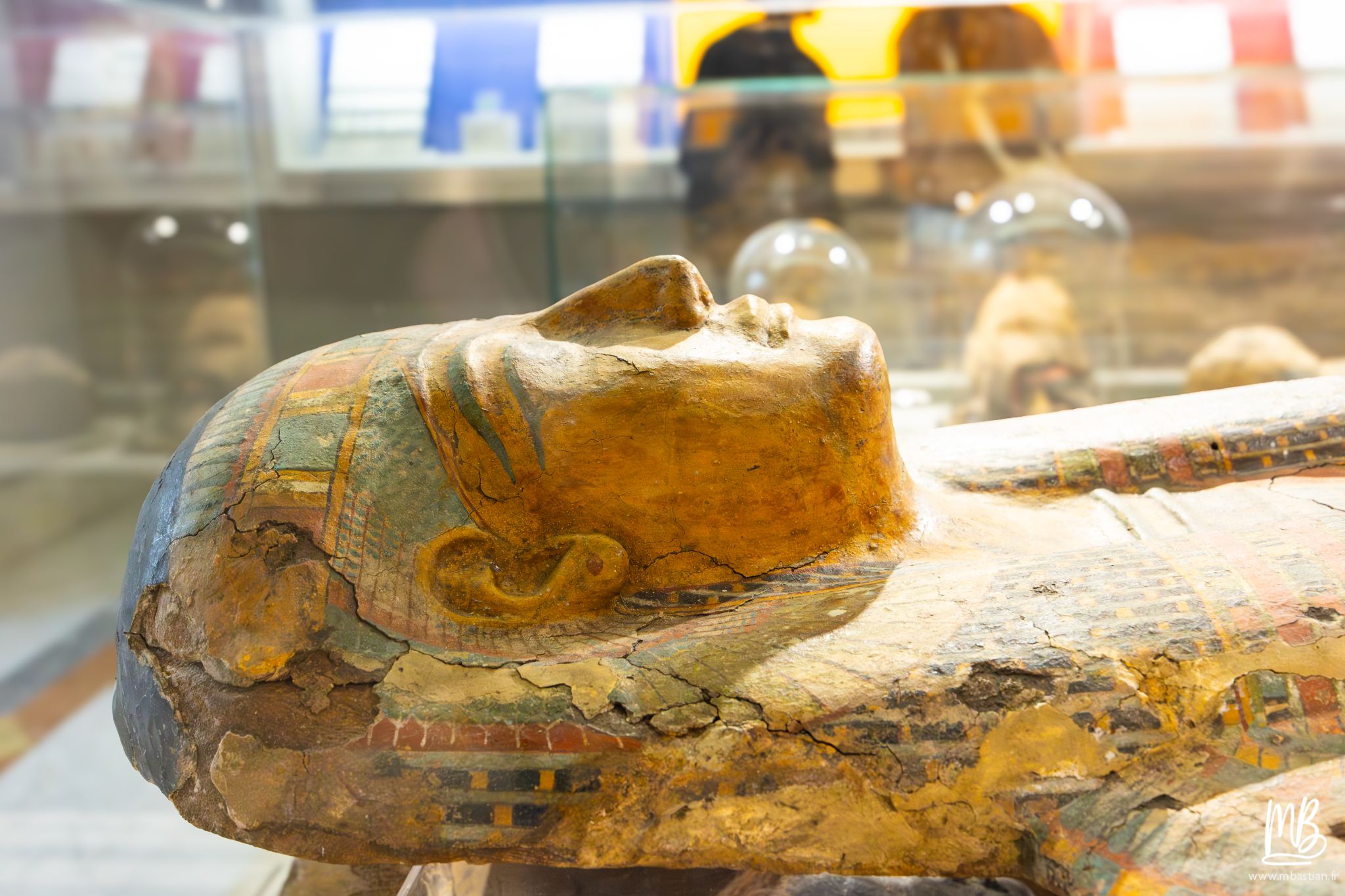 20250329 Naples MB 83