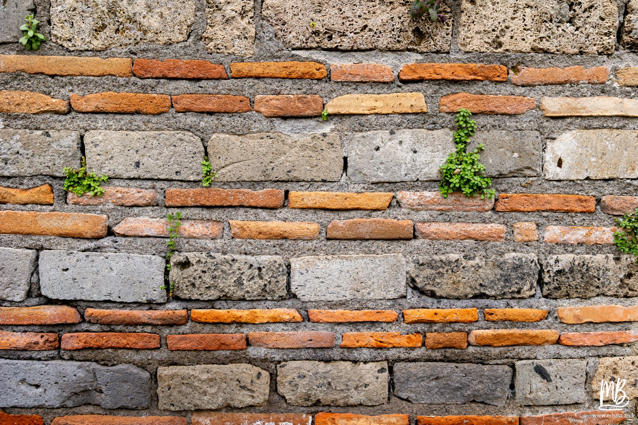 20250328 POMPEI MB 26