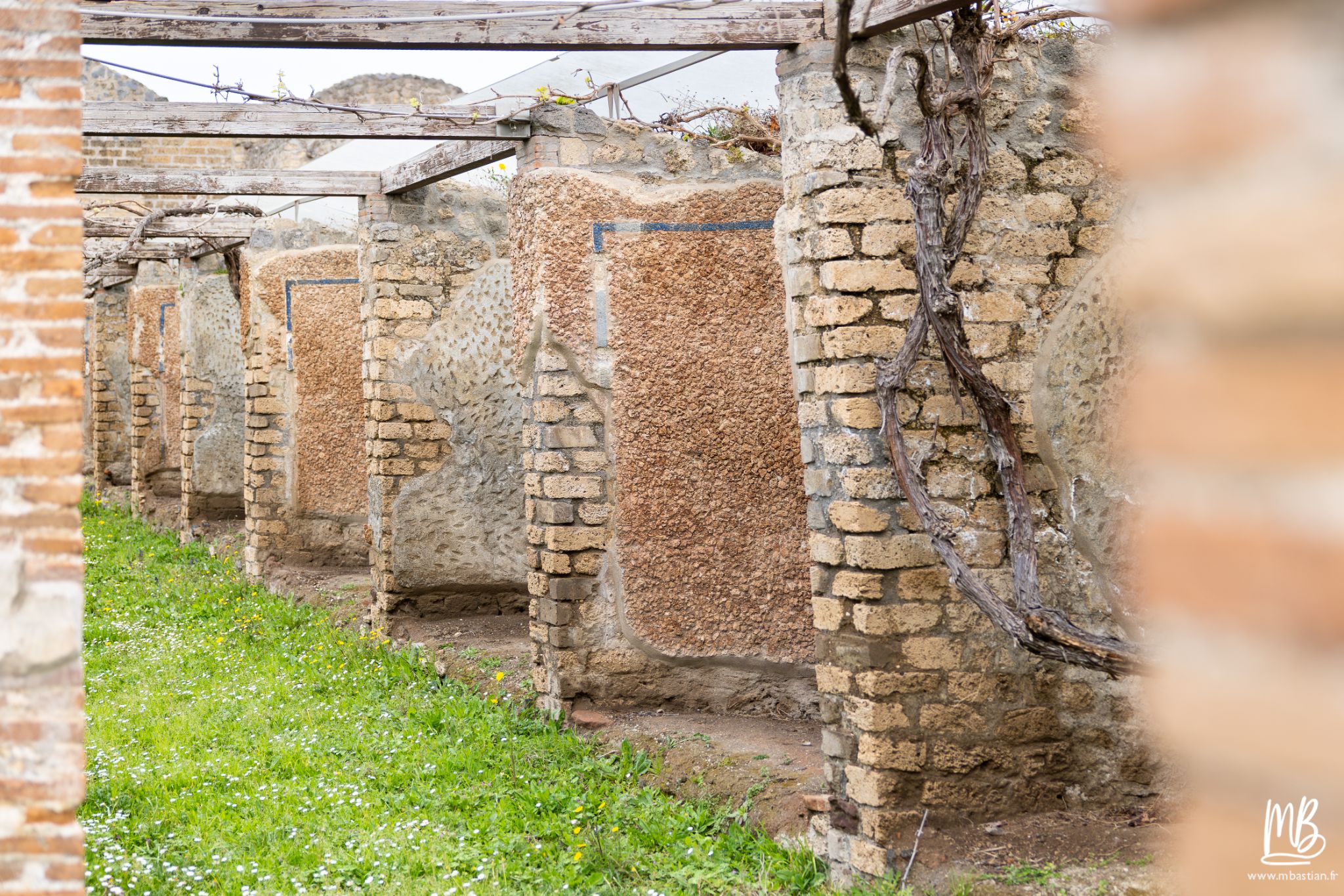 20250328 POMPEI MB 33