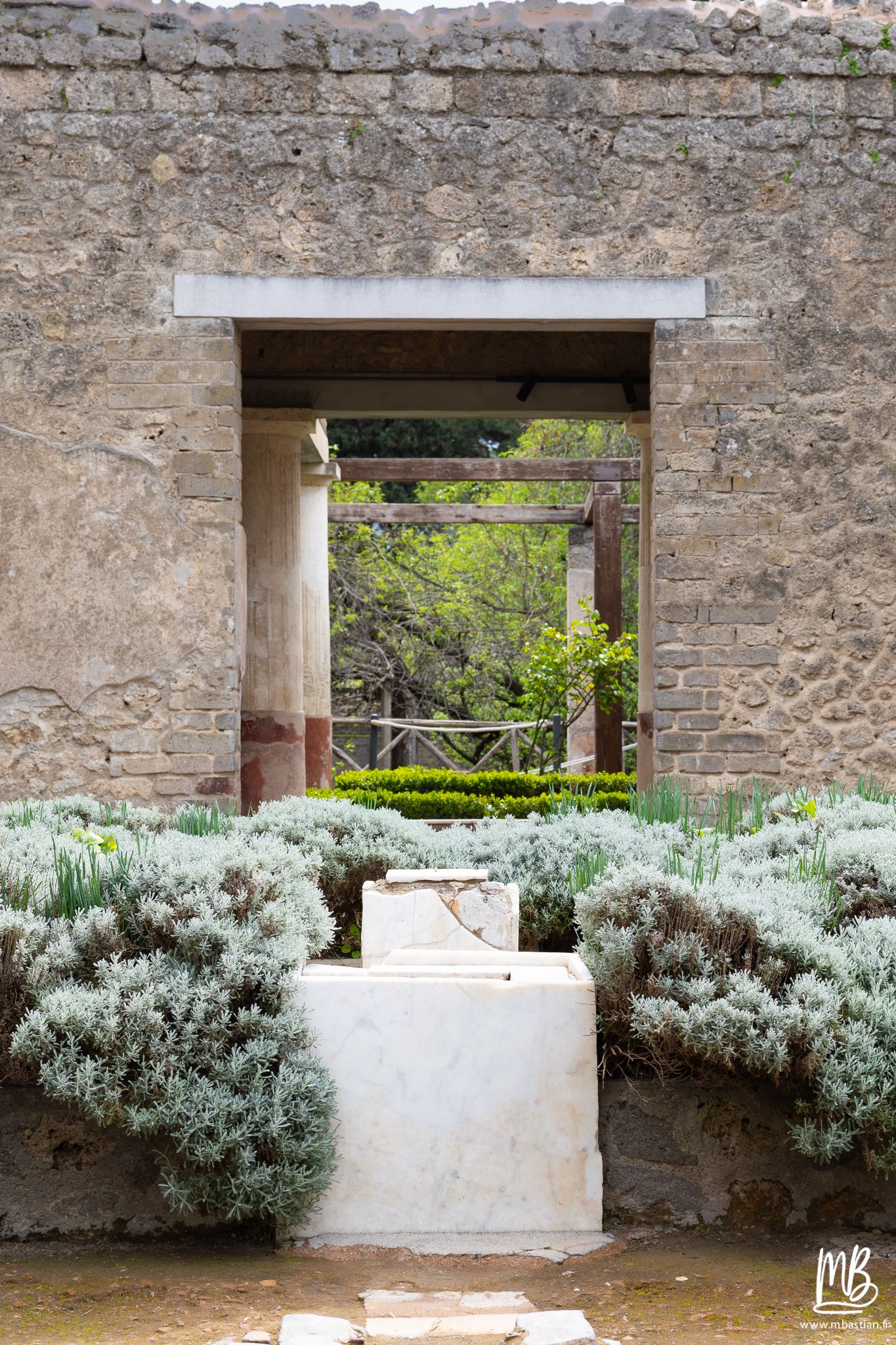 20250328 POMPEI MB 49