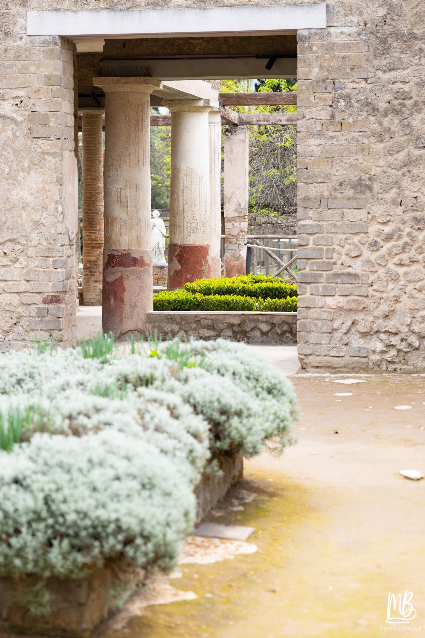 20250328 POMPEI MB 51