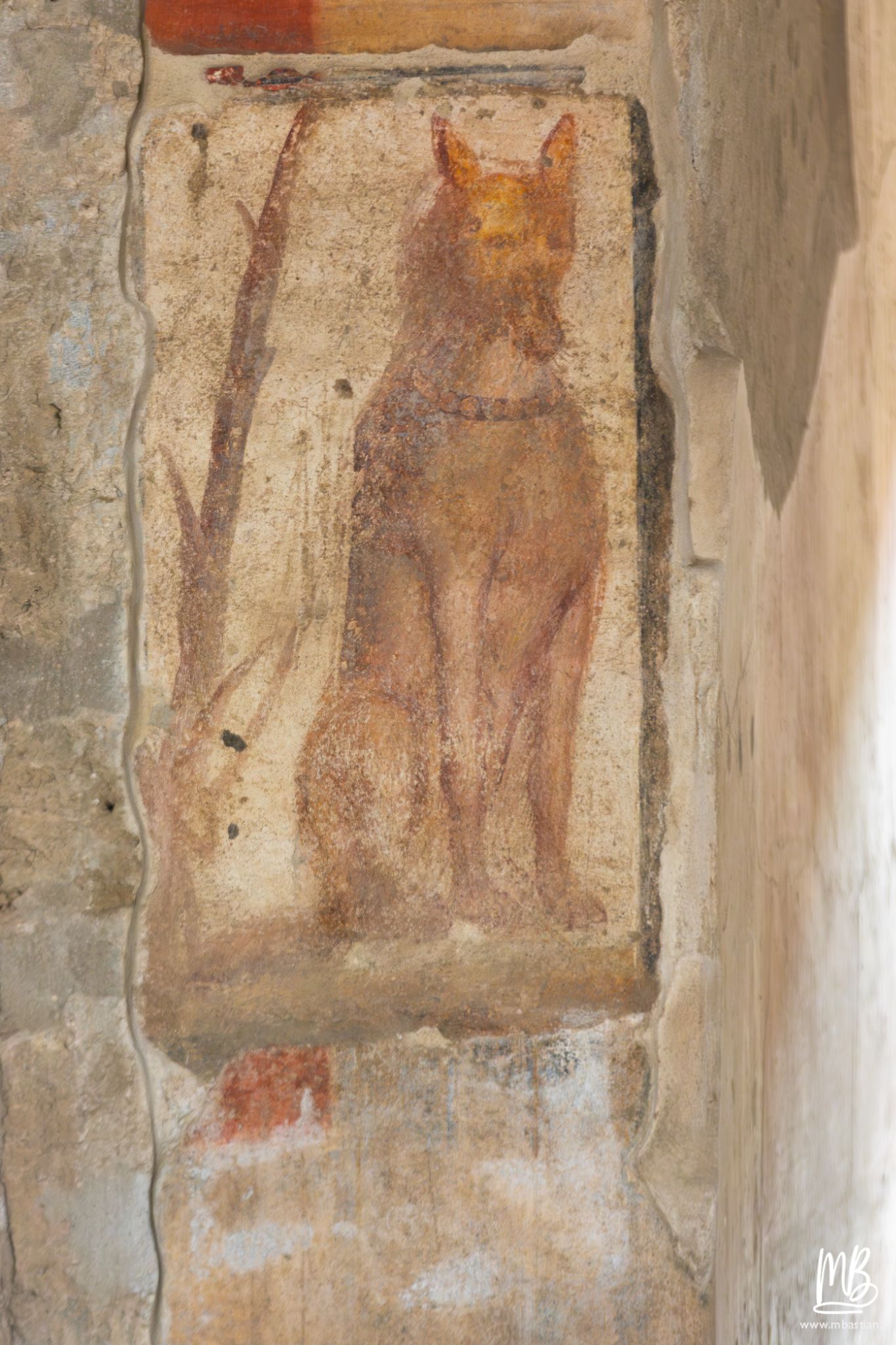 20250328 POMPEI MB 62