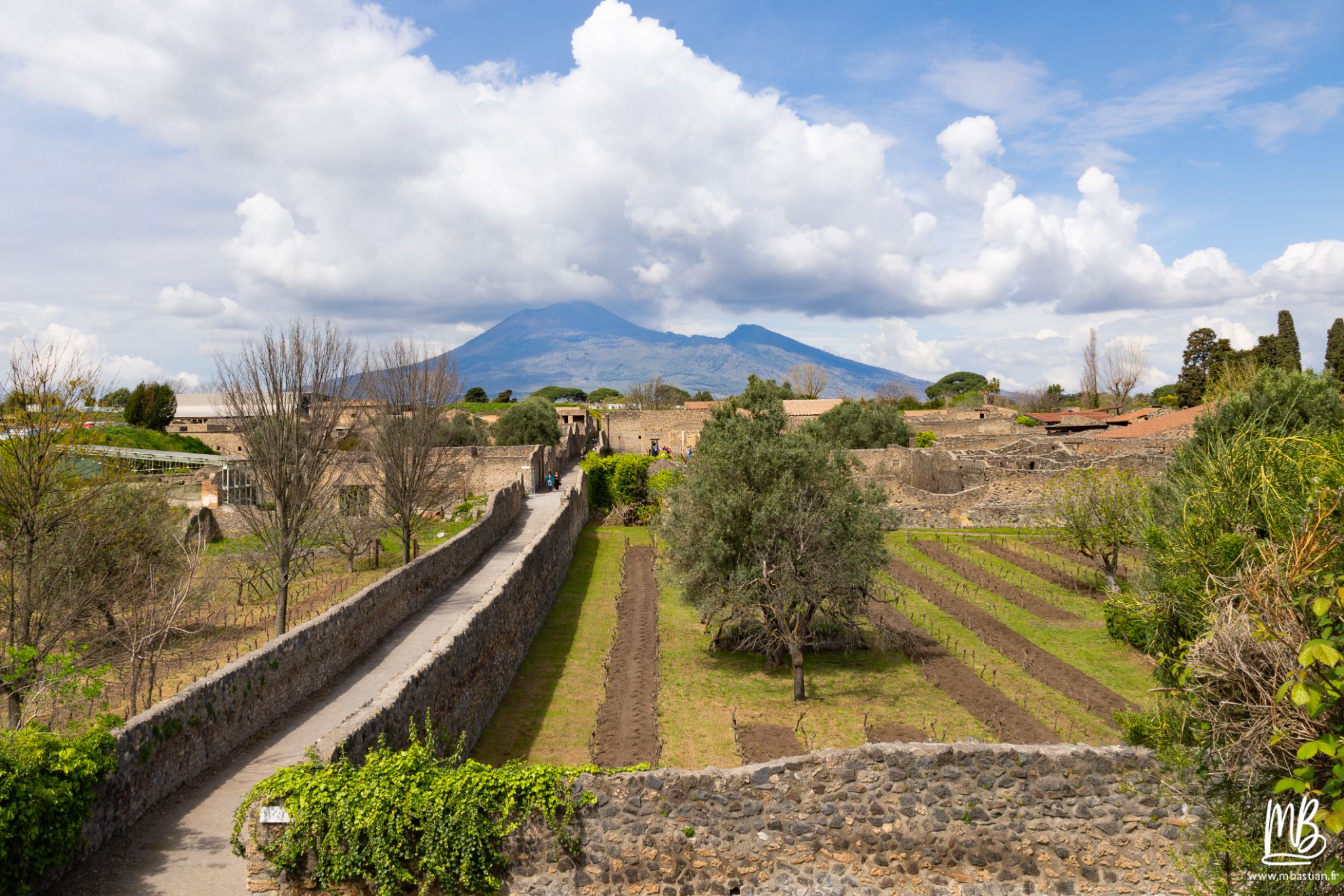 20250328 POMPEI MB 68