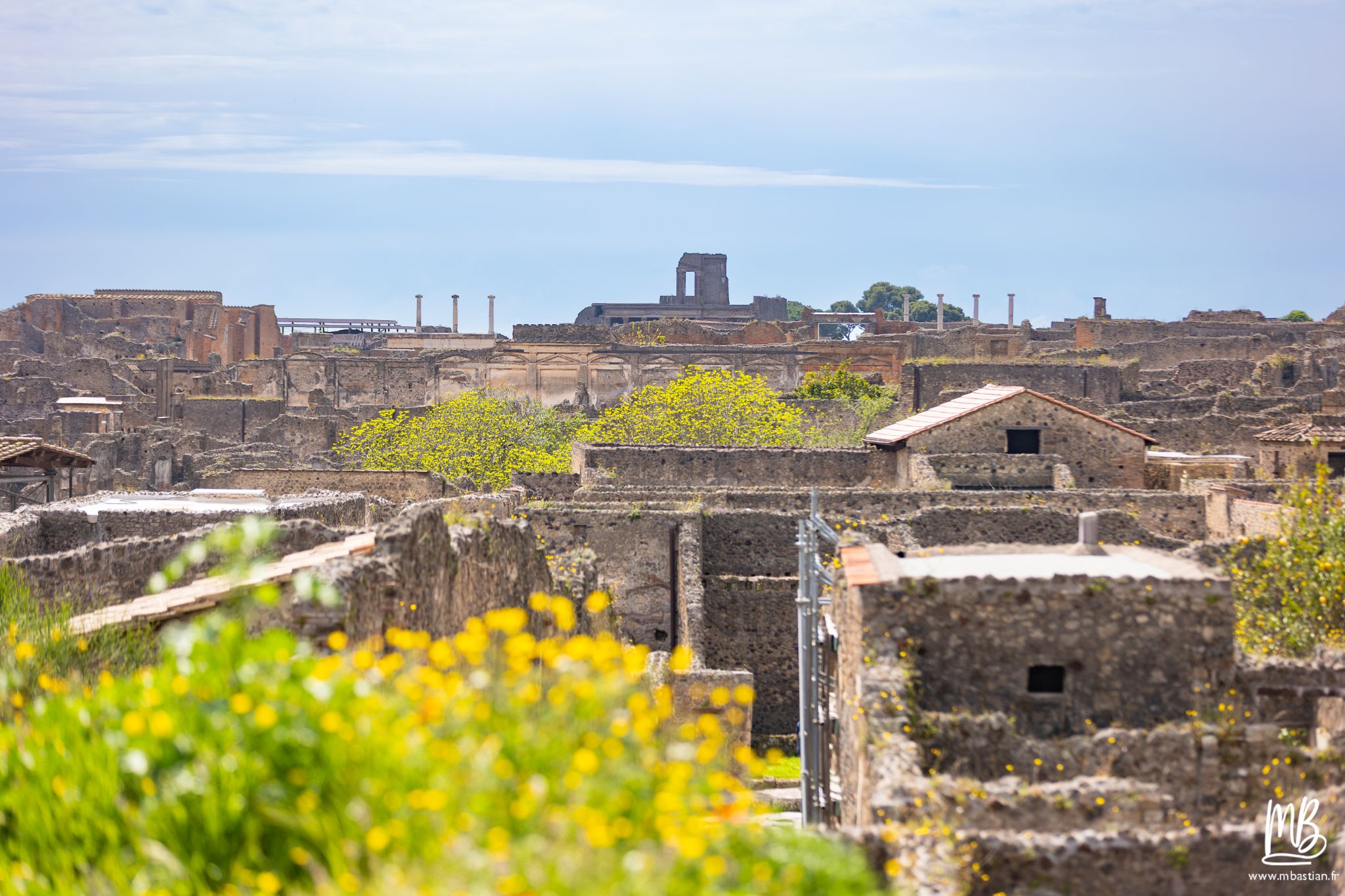 20250328 POMPEI MB 73