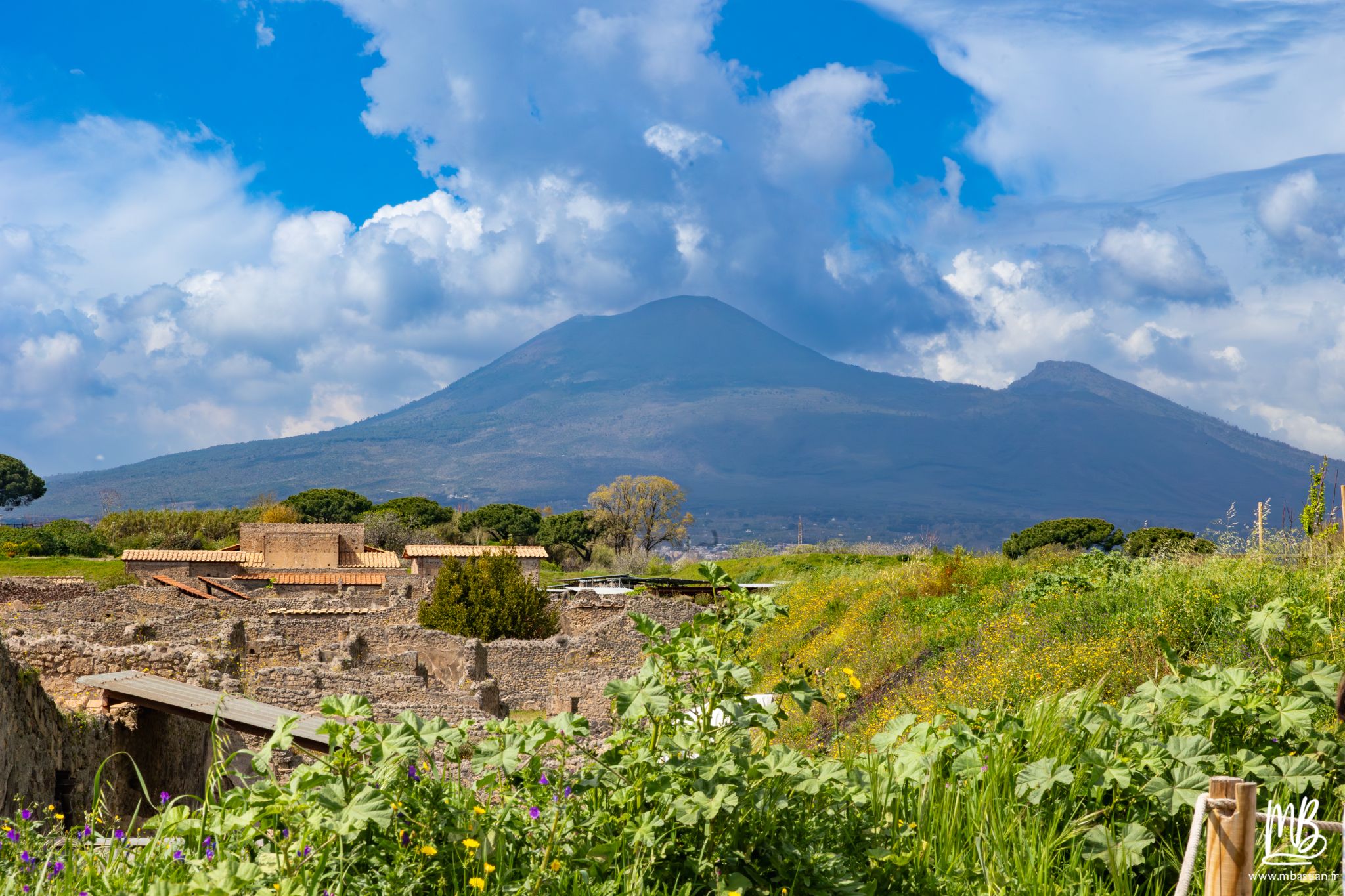 20250328 POMPEI MB 76