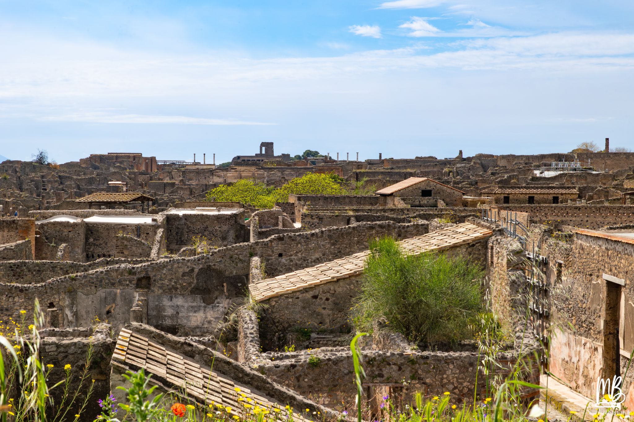 20250328 POMPEI MB 77