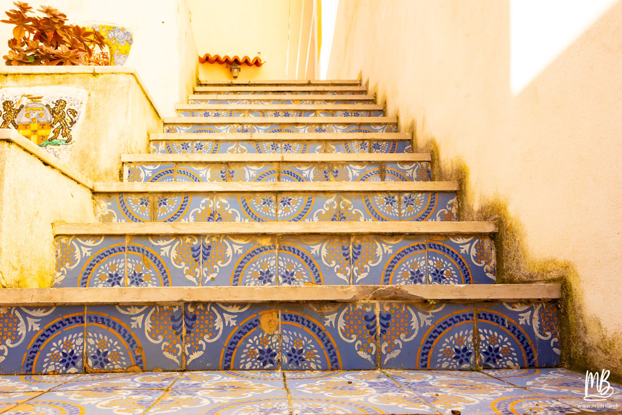 20250401 Procida MB 22