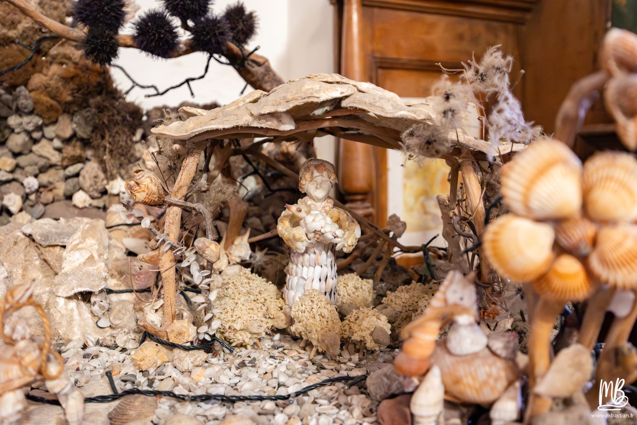 20250401 Procida MB 48