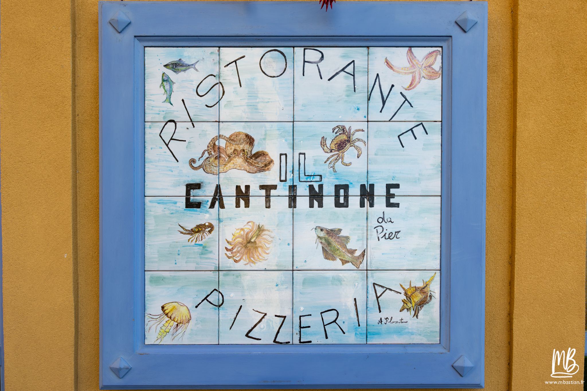 20250401 Procida MB 6