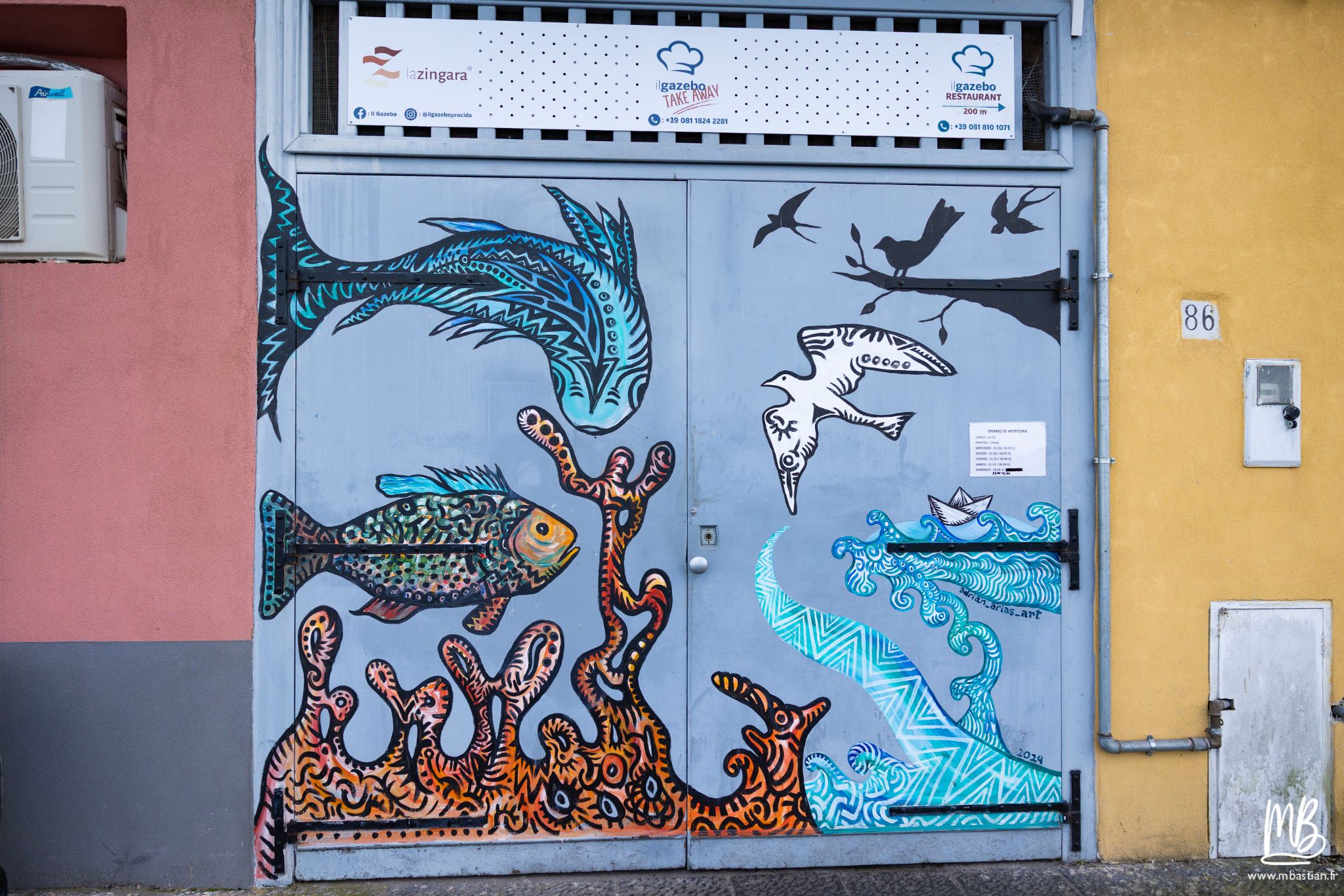 20250401 Procida MB 62