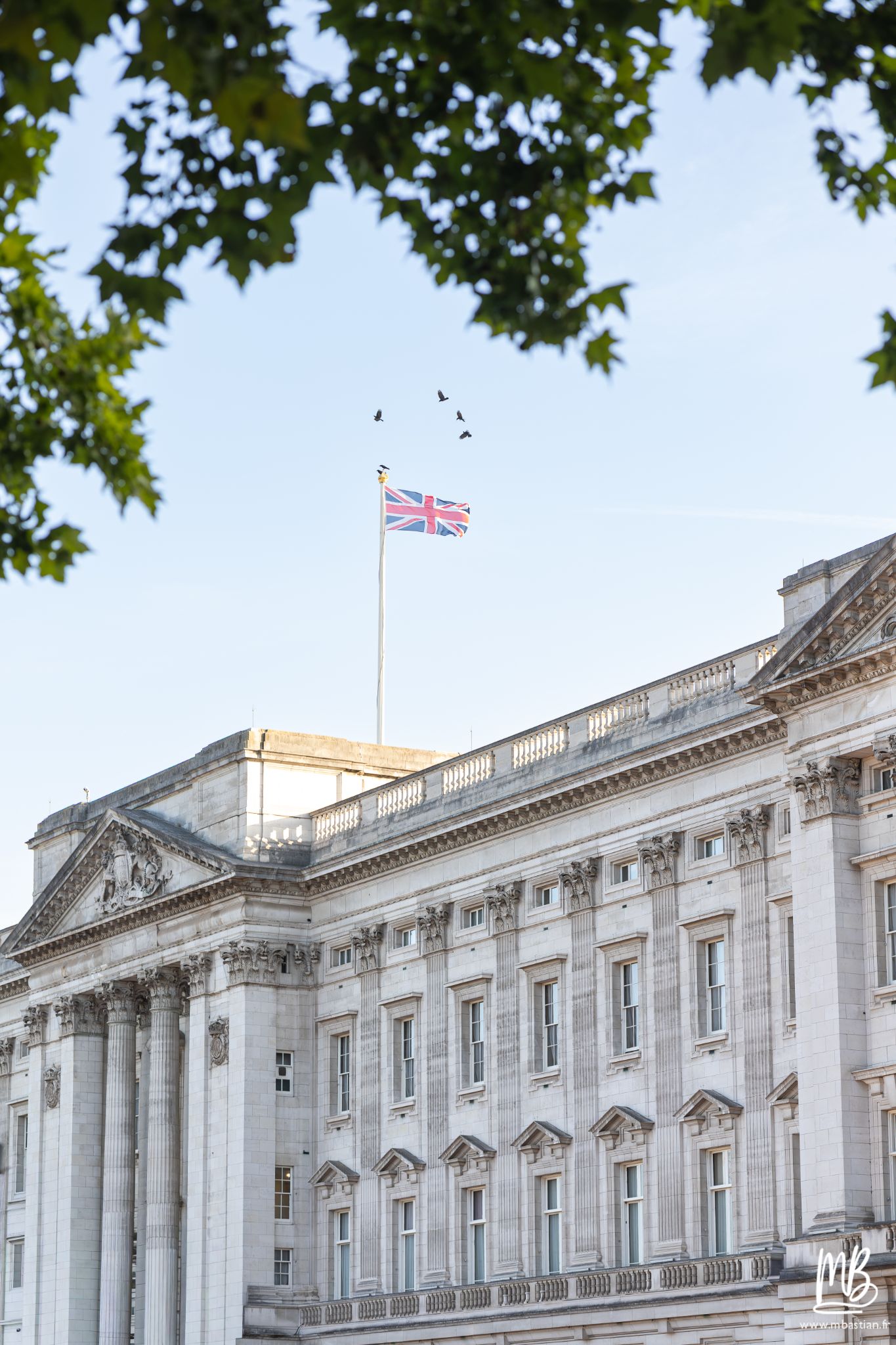 20260825 Londres MB 80